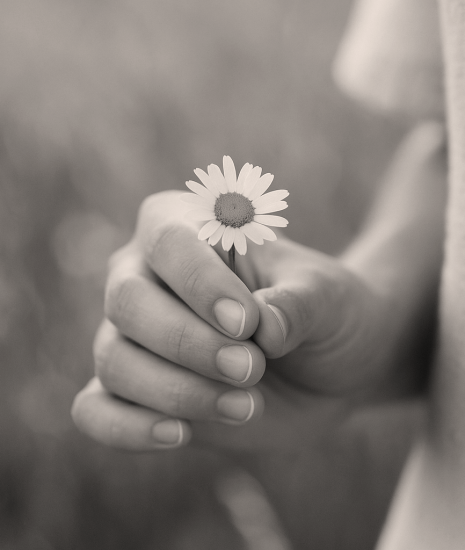 Los pequeños detalles