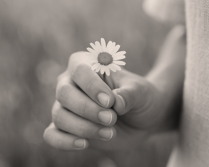 Los pequeños detalles