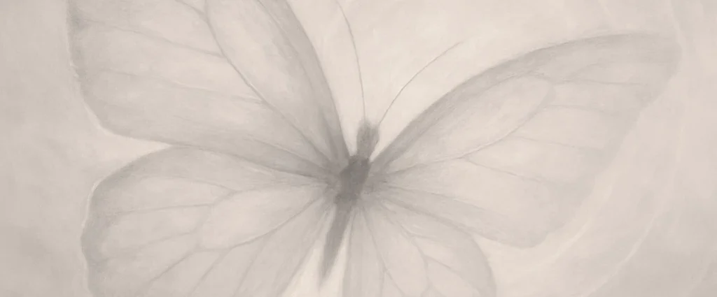 Cadena de favores y el efecto mariposa